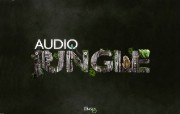 Audio Jungle设计壁纸 Audio Jungle设计壁纸 创意壁纸
