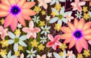 电脑花卉绘画 电脑花卉绘画 花卉壁纸
