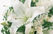 1280 1024 婚礼鲜花图片 Desktop Wallpaper of Wedding flowers 婚礼的花卉祝福的花饰 花卉壁纸