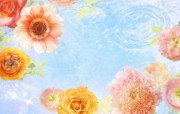 86张 7 种尺寸 Digital CG Flowers 梦幻花卉CG Flowers Art desktop 梦幻CG背景花卉 花卉壁纸