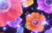 86张 7 种尺寸 Digital CG Flowers 梦幻花卉CG Flowers Art desktop 梦幻CG背景花卉 花卉壁纸