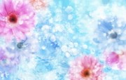 86张 7 种尺寸 Digital CG Flowers 梦幻花卉CG brFlowers Art desktop 梦幻CG背景花卉 花卉壁纸