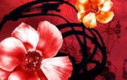 中国风水彩花卉绘画壁纸 艺术风格花卉图案色彩 花卉壁纸
