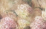 艺术花卉壁纸 抽象花卉插画壁纸 艺术与抽象花卉壁纸 花卉壁纸