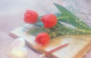 情人节浪漫鲜花图片 Valentine s Day Flowers Gifts 情人节壁纸情人节浪漫鲜花桌面 节日壁纸