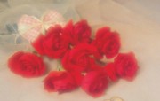 情人节的红玫瑰花图片 Red Roses on Valentine s Day 情人节壁纸情人节浪漫鲜花桌面 节日壁纸