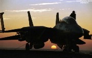 美国海军F14雄猫战斗机 美国海军F14雄猫战斗机 军事壁纸