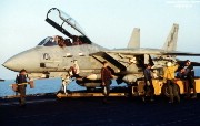 美国海军F14雄猫战斗机 美国海军F14雄猫战斗机 军事壁纸