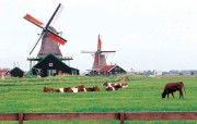 风车之国 荷兰 荷兰旅游风景壁纸 Holland Vacation Holland Travel Photos 风车之国荷兰 人文壁纸