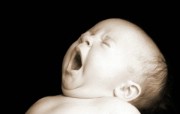 人体艺术图片 婴儿 壁纸2 人体艺术图片（婴儿） 系统壁纸
