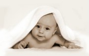 人体艺术图片 婴儿 壁纸16 人体艺术图片（婴儿） 系统壁纸
