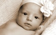 人体艺术图片 婴儿 壁纸31 人体艺术图片（婴儿） 系统壁纸