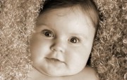 人体艺术图片 婴儿 壁纸32 人体艺术图片（婴儿） 系统壁纸