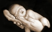 人体艺术图片 婴儿 壁纸40 人体艺术图片（婴儿） 系统壁纸